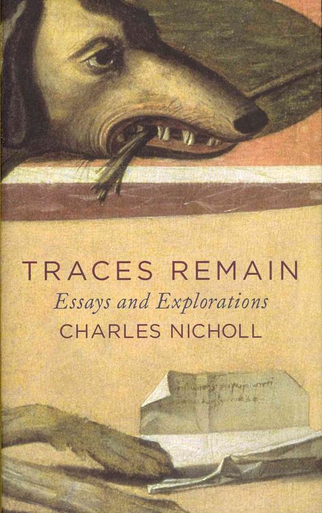 Produktbild: Traces Remain