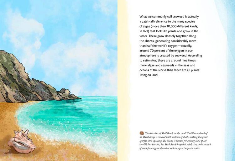 Produktbild: By the Sea