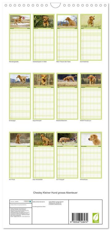 Produktbild: Familienplaner 2026 - Chesley Kleiner Hund grosse Abenteuer mit 5 Spalten (Wandkalender, 21 x 45 cm) CALVENDO