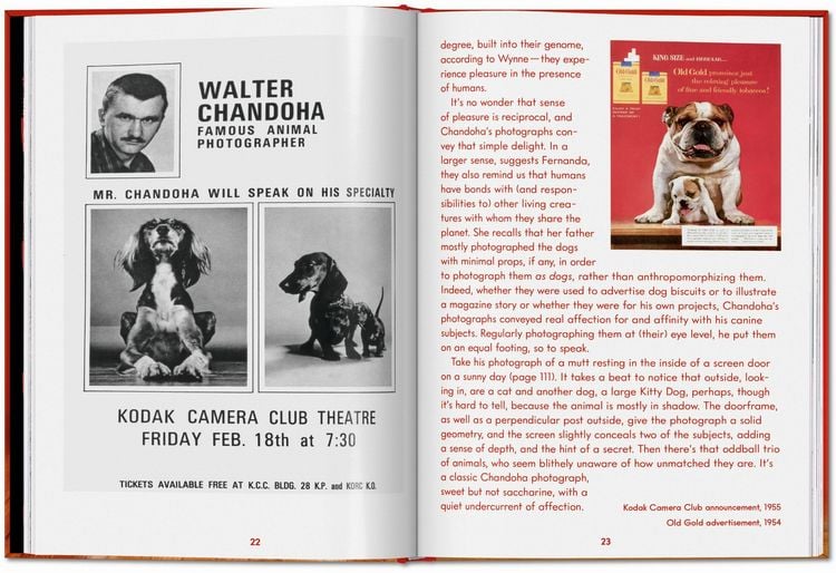 Produktbild: Walter Chandoha. Dogs. Photographs 1941&ndash;1991