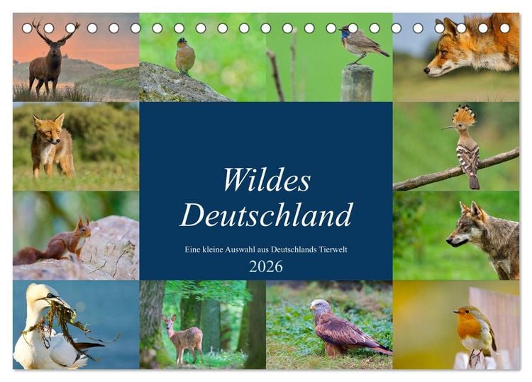 Produktbild: Wildes Deutschland (Tischkalender 2026 DIN A5 quer), CALVENDO Monatskalender