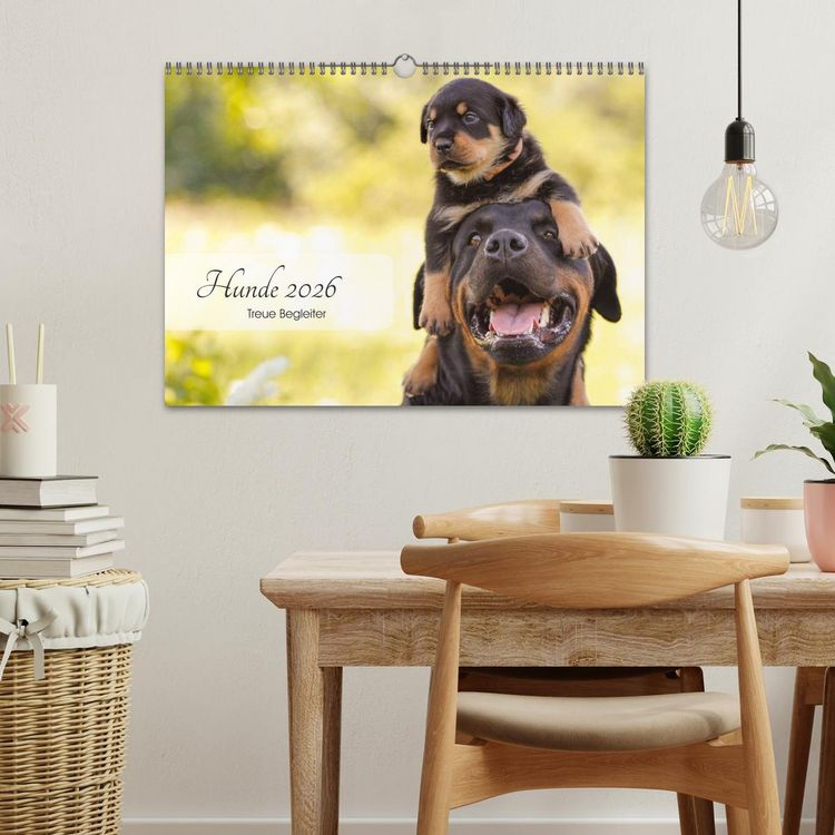 Produktbild: Hunde 2026 - Treue Begleiter (Wandkalender 2026 DIN A3 quer), CALVENDO Monatskalender