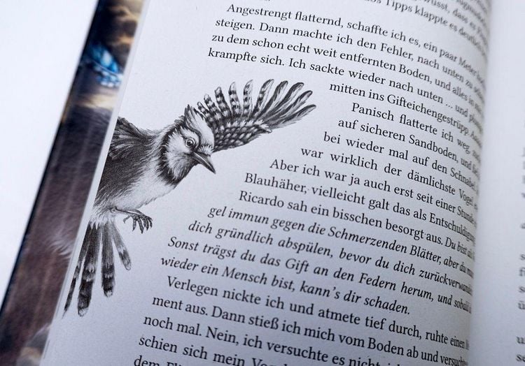 Produktbild: Windwalkers (1). Verborgene Fl&uuml;gel