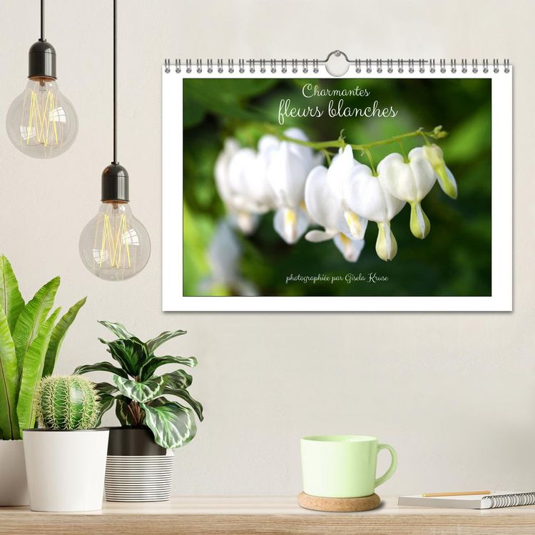Produktbild: Charmantes fleurs blanches (Calendrier mural 2026 DIN A4 vertical), CALVENDO calendrier mensuel