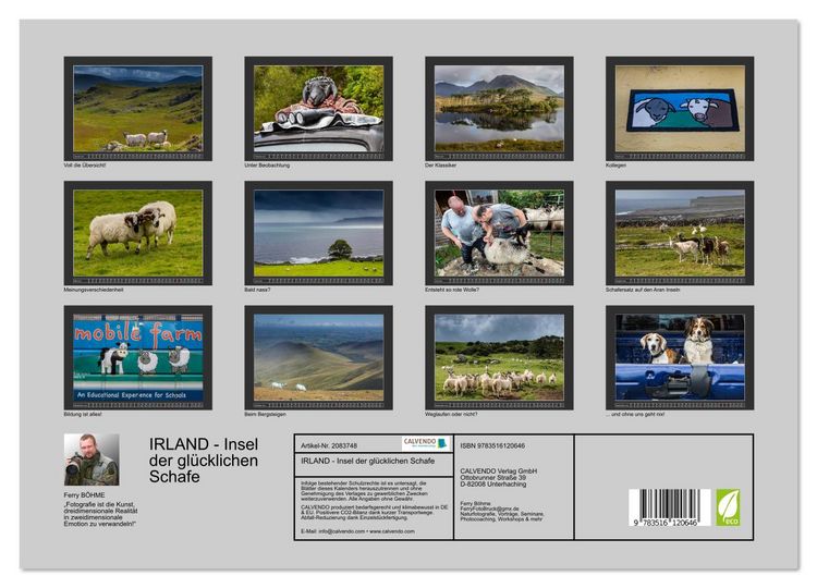 Produktbild: IRLAND - Insel der gl&uuml;cklichen Schafe (Wandkalender 2026 DIN A3 quer), CALVENDO Monatskalender