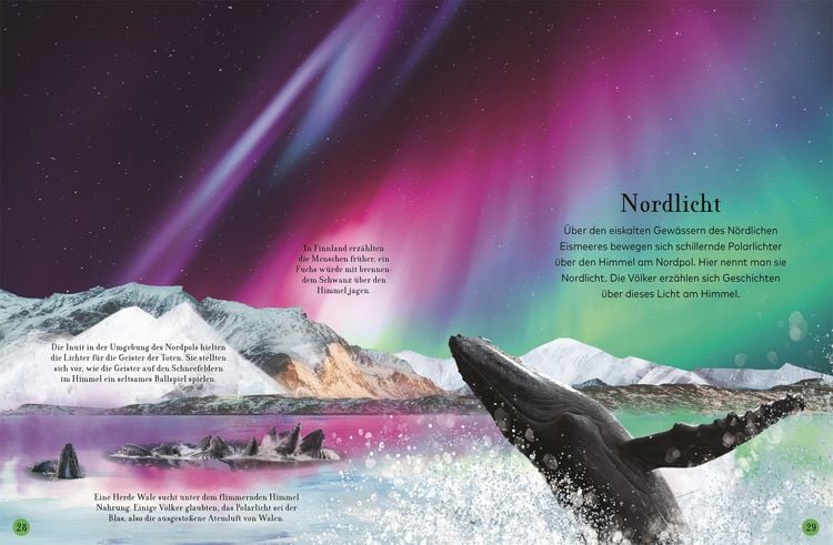 Produktbild: Wundervolle Reise durch die Nacht