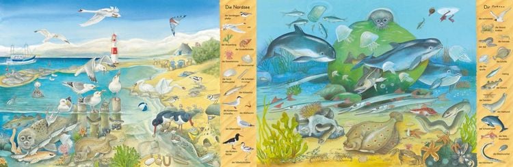 Mein erstes Wimmelbuch: Am Meer