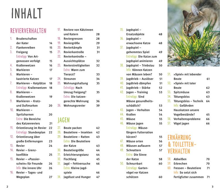 Produktbild: 300 Fragen zum Katzenverhalten