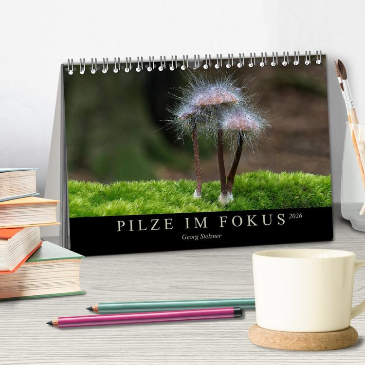 Produktbild: PILZE IM FOKUS 2026 (Tischkalender 2026 DIN A5 quer), CALVENDO Monatskalender