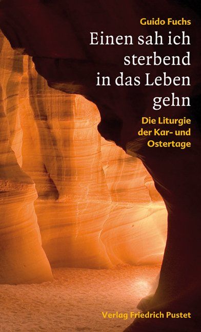Produktbild: Einen sah ich sterbend in das Leben gehn