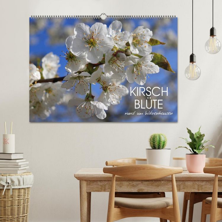 Produktbild: Kirschbl&uuml;te rund um Witzenhausen (Wandkalender 2026 DIN A2 quer), CALVENDO Monatskalender