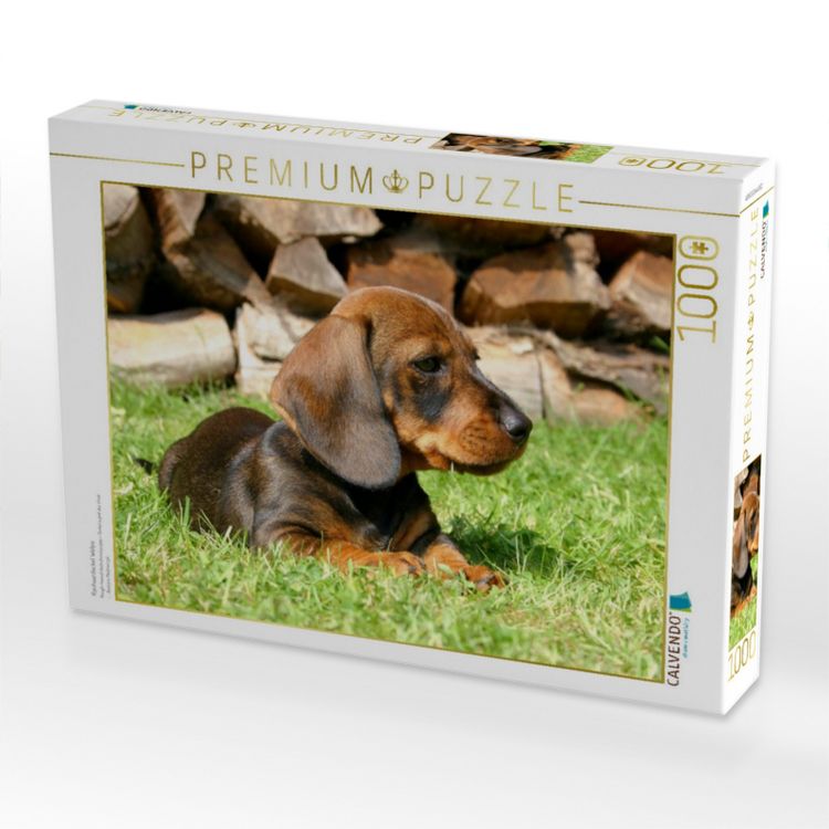 Produktbild: CALVENDO Puzzle Rauhaardackel Welpe | 1000 Teile Lege-Gr&ouml;&szlig;e 64x48cm Foto-Puzzle f&uuml;r gl&uuml;ckliche Stunden
