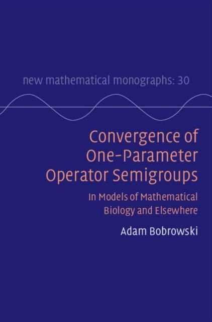 Produktbild: Convergence of One-Parameter Operator Semigroups
