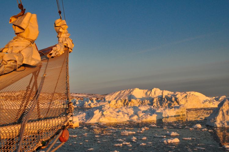 Produktbild: Eis in den Segeln