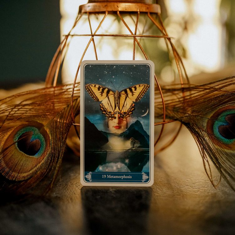 Produktbild: Christephania Kipper - 36 cards & booklet GB (english oracle)