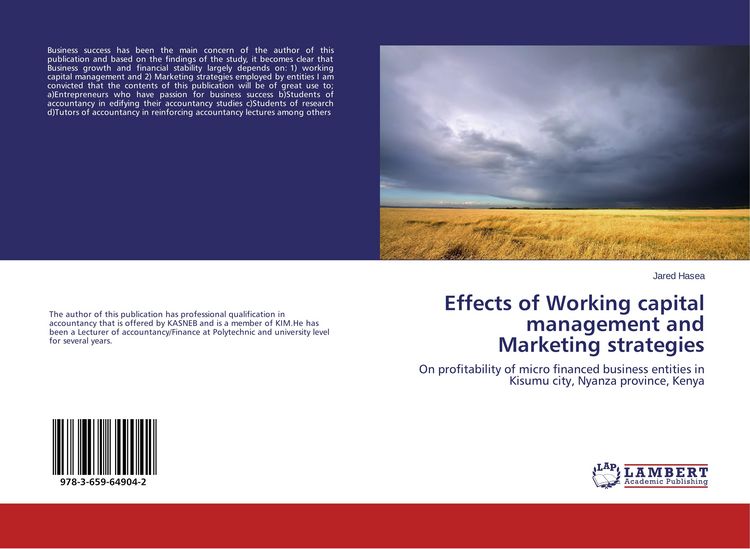 Produktbild: Effects of Working capital management and Marketing strategies