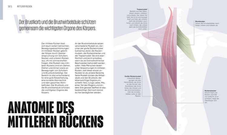 Produktbild: Mit Yoga Schmerzen lindern