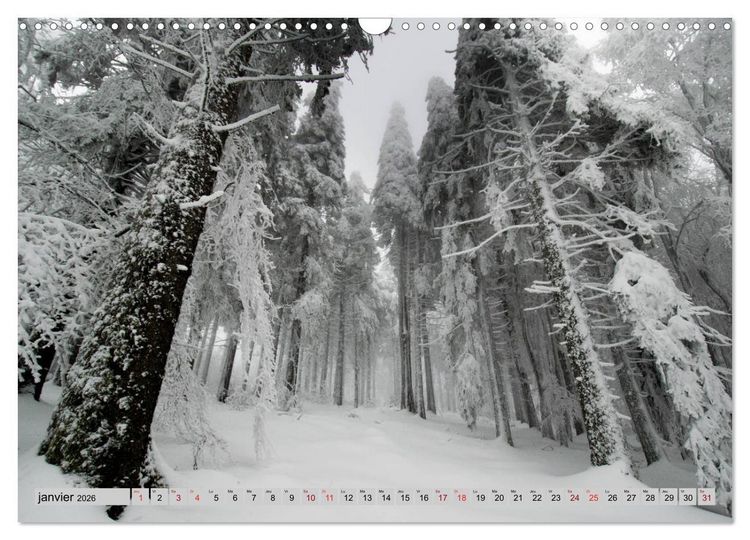 Produktbild: Splendeurs des Vosges (Calendrier mural 2026 DIN A3 vertical), CALVENDO calendrier mensuel