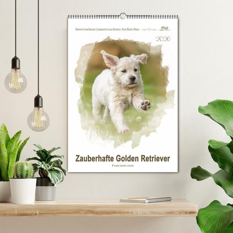 Produktbild: Zauberhafte Golden Retriever (Wandkalender 2026 DIN A2 hoch), CALVENDO Monatskalender