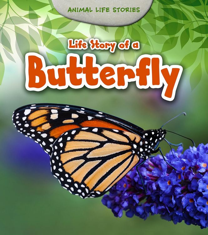 Produktbild: Life Story of a Butterfly