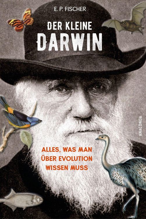 Produktbild: Der kleine Darwin. Alles, was man &uuml;ber Evolution wissen muss