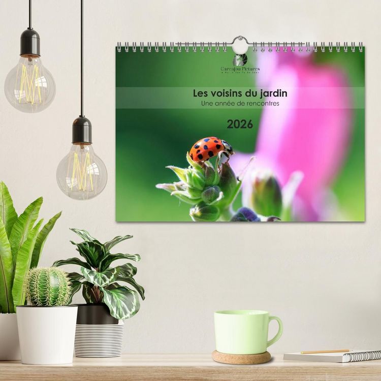 Produktbild: Les voisins du jardin - Une ann&eacute;e de rencontres (Calendrier mural 2027 DIN A4 vertical), CALVENDO calendrier mensuel