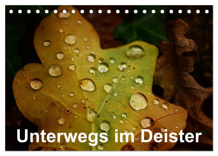 Produktbild: Unterwegs im Deister (Tischkalender 2026 DIN A5 quer), CALVENDO Monatskalender