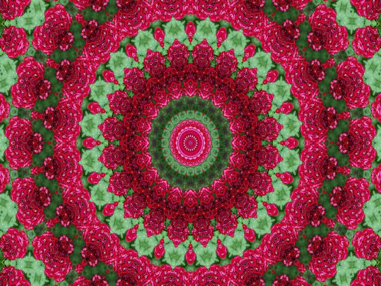 Produktbild: CALVENDO Puzzle Blumen Mandala - Kaleidoskop | 1000 Teile Lege-Gr&ouml;&szlig;e 64x48cm Foto-Puzzle f&uuml;r gl&uuml;ckliche Stunden