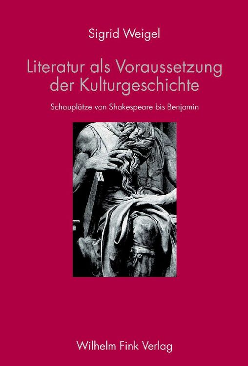 Produktbild: Literatur als Voraussetzung der Kulturgeschichte