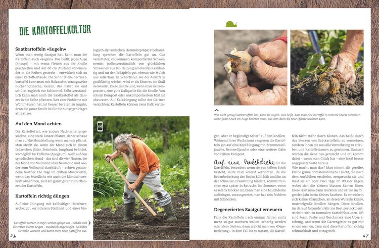 Produktbild: Der Selbstversorger: Mein Gartenjahr