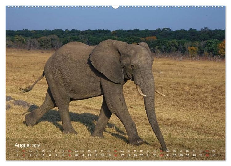 Produktbild: Zimbabwe (Wandkalender 2026 DIN A2 quer), CALVENDO Monatskalender