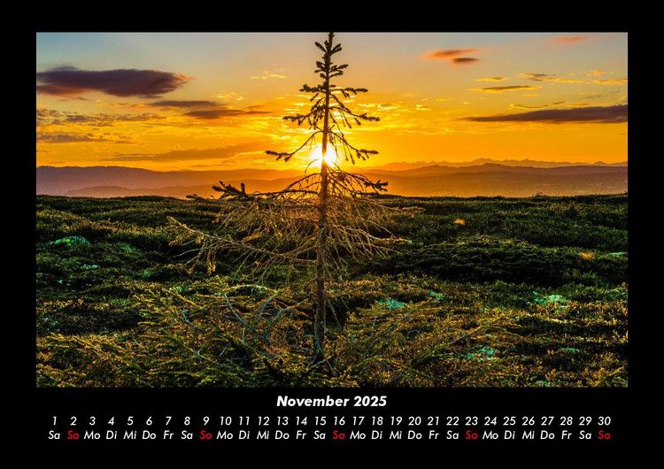 Produktbild: B&auml;ume 2025 Fotokalender DIN A3