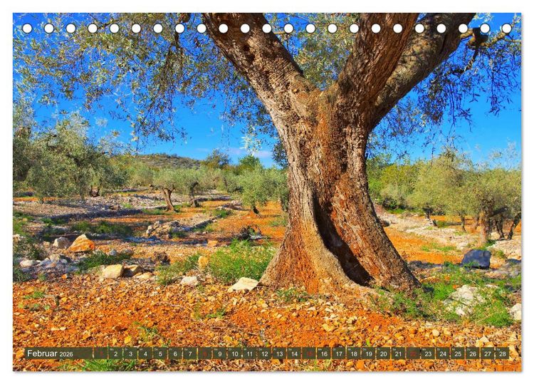 Produktbild: Costa del Azahar - K&uuml;ste der Orangenbl&uuml;te (Tischkalender 2026 DIN A5 quer), CALVENDO Monatskalender