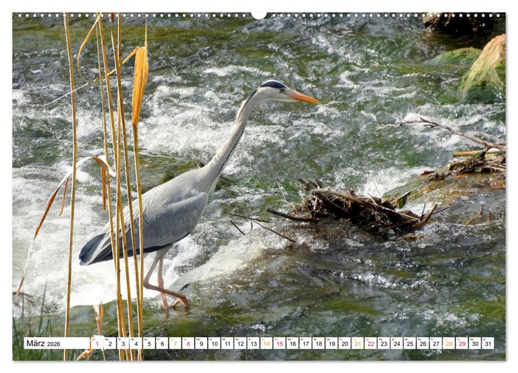Produktbild: 12 Monate Natur (hochwertiger Premium Wandkalender 2026 DIN A2 quer), Kunstdruck in Hochglanz