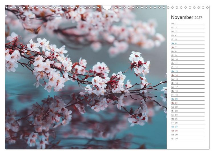 Produktbild: Japanische Kirschbl&uuml;te (Wandkalender 2027 DIN A3 quer), CALVENDO Monatskalender