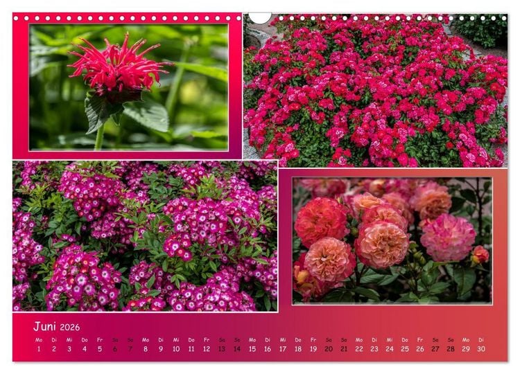 Produktbild: Erfurt erbl&uuml;ht (Wandkalender 2026 DIN A3 quer), CALVENDO Monatskalender