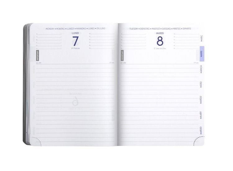 Produktbild: Sch&uuml;lerkalender Forum Eden st 2026 / 2027