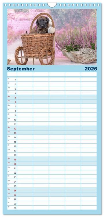 Produktbild: Familienplaner 2026 - Briardbabys in ihren ersten Wochen mit 5 Spalten (Wandkalender, 21 x 45 cm) CALVENDO