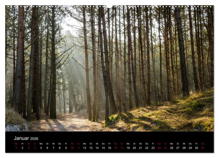 Produktbild: Polen - Reise durch unser sch&ouml;nes Nachbarland (Wandkalender 2026 DIN A2 quer), CALVENDO Monatskalender