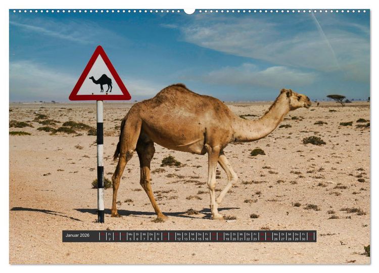 Produktbild: OMAN Offroad Travel Log (hochwertiger Premium Wandkalender 2026 DIN A2 quer), Kunstdruck in Hochglanz