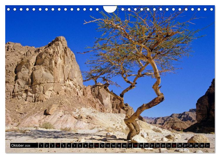 Produktbild: Sinai - Landschaft aus Fels und Sand (Wandkalender 2026 DIN A4 quer), CALVENDO Monatskalender