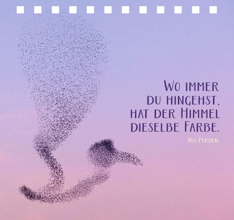 Produktbild: Jeder Tag ist voller kleiner Wunder