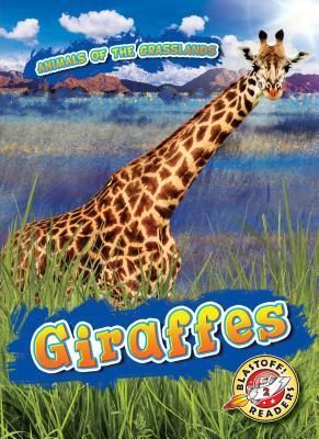 Produktbild: Giraffes
