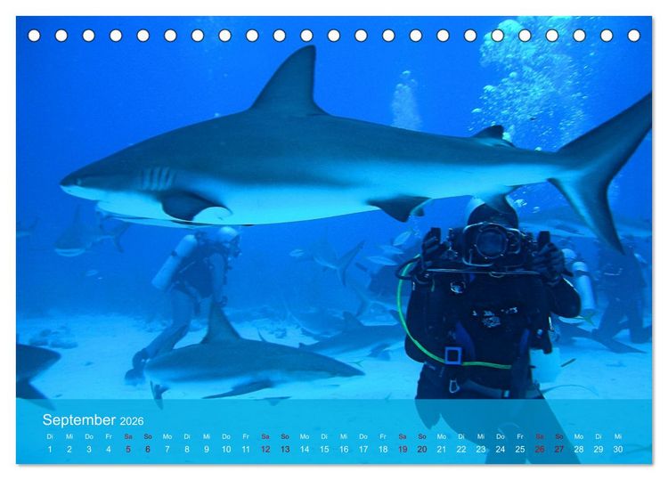 Produktbild: Erlebnis Tauchen - faszinierende Unterwasserwelt (Tischkalender 2026 DIN A5 quer), CALVENDO Monatskalender