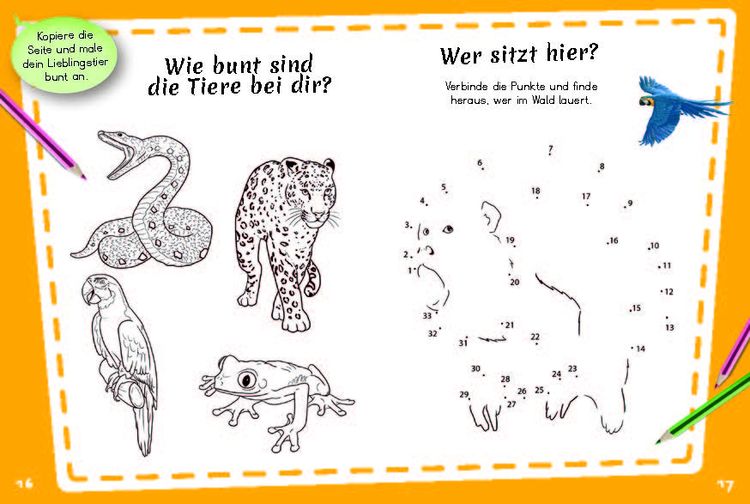 Produktbild: Bunter Regenwald
