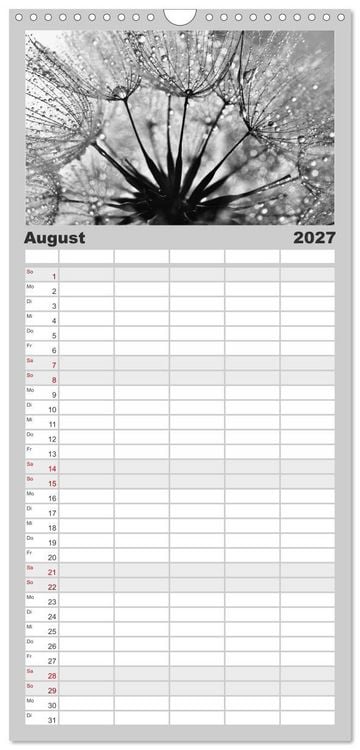 Produktbild: Familienplaner 2027 - Pusteblume - Impressionen in schwarzwei&szlig; mit 5 Spalten (Wandkalender, 21 x 45 cm) CALVENDO