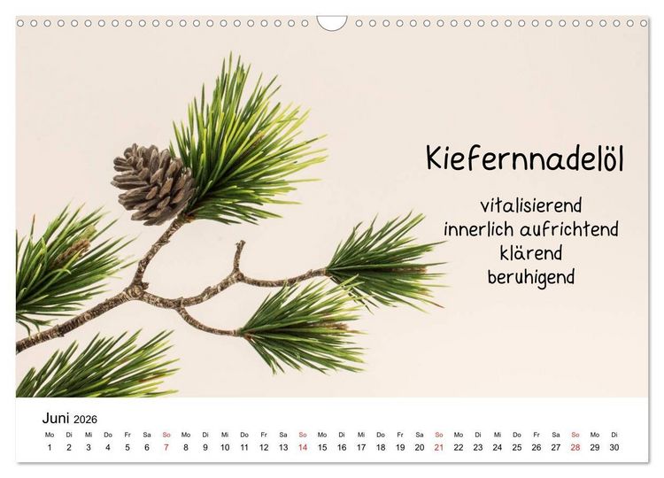 Produktbild: Aromatherapie - D&uuml;fte f&uuml;r die Seele (Wandkalender 2026 DIN A3 quer), CALVENDO Monatskalender