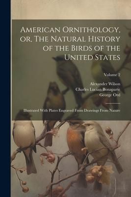 Produktbild: American Ornithology, or, The Natural History of the Birds of the United States: Illustrated With Plates Engraved From Drawings From Nature; Volume 2