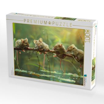 Produktbild: CALVENDO Puzzle M&auml;useplausch | 1000 Teile Lege-Gr&ouml;&szlig;e 64x48cm Foto-Puzzle f&uuml;r gl&uuml;ckliche Stunden