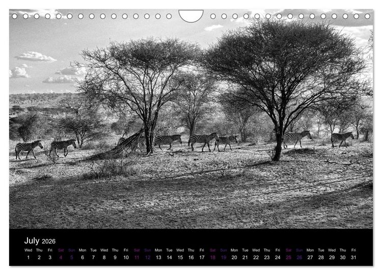 Produktbild: East Africa - Tanzania and Kenya / UK-Version (Wall Calendar 2026 DIN A4 landscape), CALVENDO 12 Month Wall Calendar